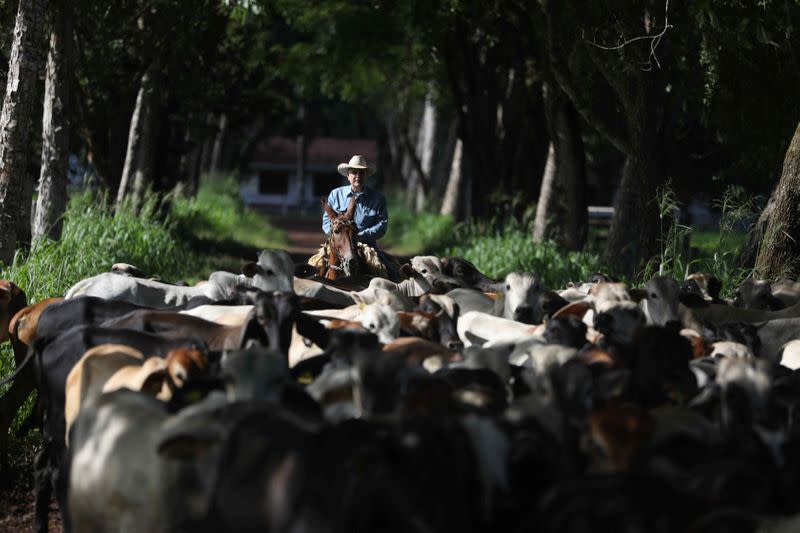 Mauro Lucio Costa monta a caballo en su rancho en el estado de Pará