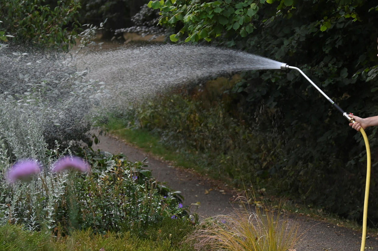 A worker waters plants in a public park, ahead of regional restrictions for private and residential water usage being implemented, in London, Britain, August 4, 2022. REUTERS/Toby Melville