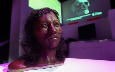 Full facial reconstruction model of a head based on the skull of Britain's oldest complete skeleton on display during a screening event of The First Brit: Secrets Of The 10,000 Year Old Man at The Natural History Museum, in London - Credit: PA