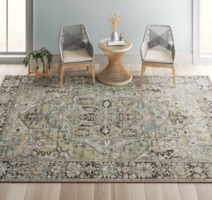 Mistana Albion Oriental Rug