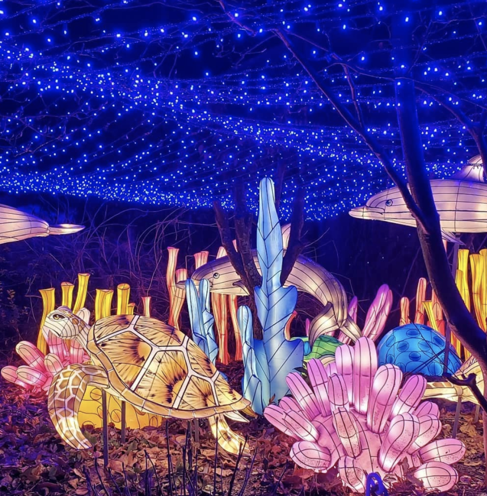 Holiday Lights at the Bronx Zoo in New York, New York