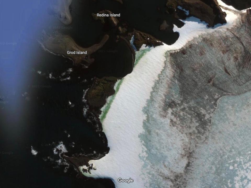 satellite image shows snowy antarctica island with green algae blooms along coast