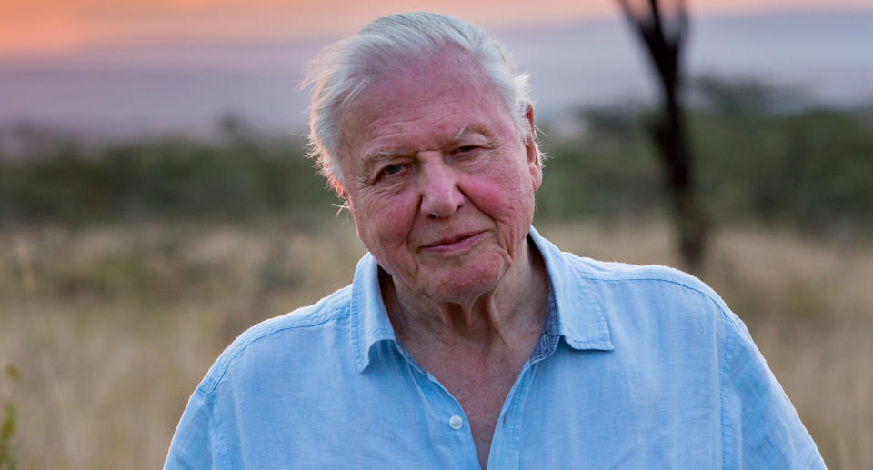 Sir David Attenborough: Climate change could be ‘catastrophic’ but it’s not too late