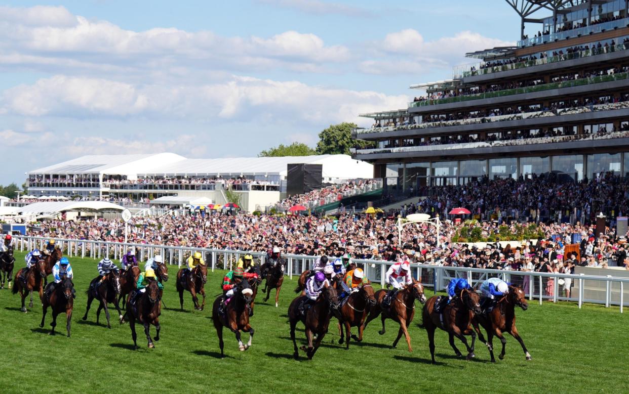 Wild Tiger and Sonny Liston at Royal Ascot