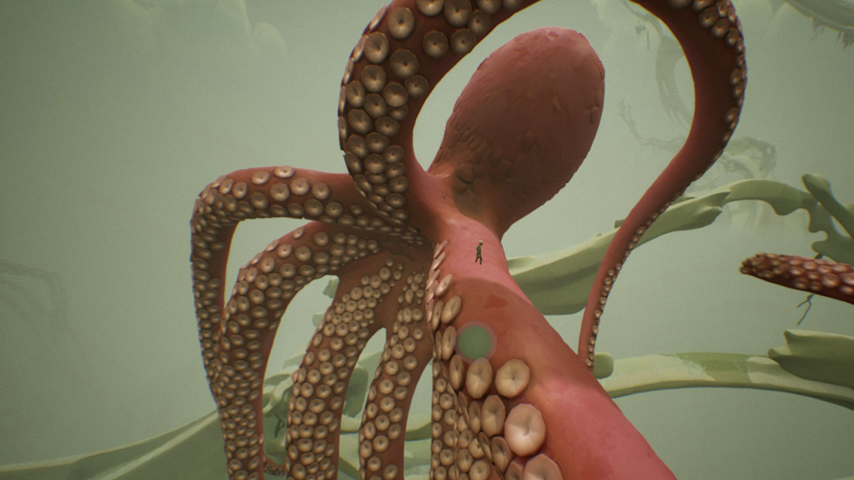  An image of a little boy riding on the tentacle of a large octopus in Chasing the Unseen. 