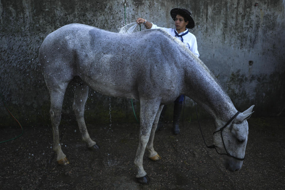 A gaucho or South American cowboy bathes a horse during the Criolla Week rodeo festival, in Montevideo, Uruguay, Tuesday, March 26, 2024. The rodeo has been a Holy Week tradition since 1925. (AP Photo/Matilde Campodonico)