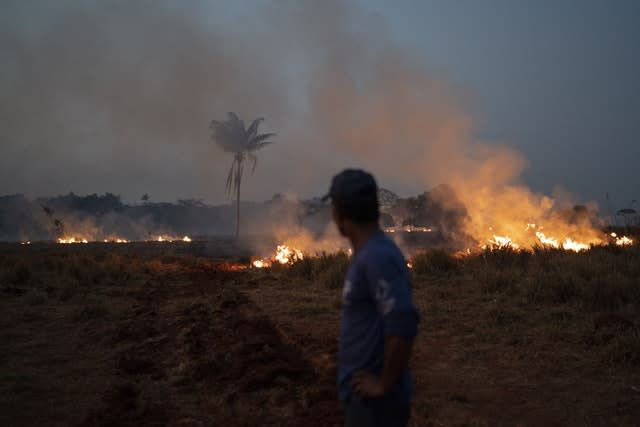 Brazil Amazon Fires