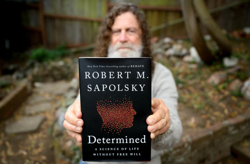 Stanford neuroscientist Robert Sapolsky poses for a photo at his home in San Francisco, California on Friday, October 13, 2023. Sapolsky's latest book, Determined, argues that we have no free will whatsoever. After 40 decades studying humans and other primates, Sapolsky has concluded that many factors beyond our control influence our choices and behaviors leaving free will to be negligible in any context.