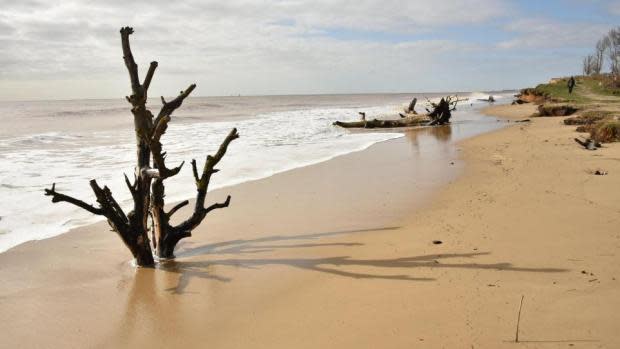 East Anglian Daily Times: Covehithe Beach was recognised by the Sunday Times as an under the radar attraction this year.
