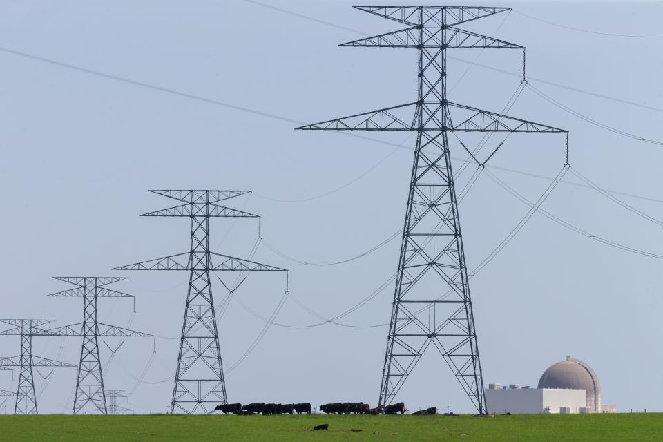 A herd of cattle graze under enormous steel transmission lines transferring power from the Wolf Creek Nuclear Power Plant in Burlington Wednesday afternoon.