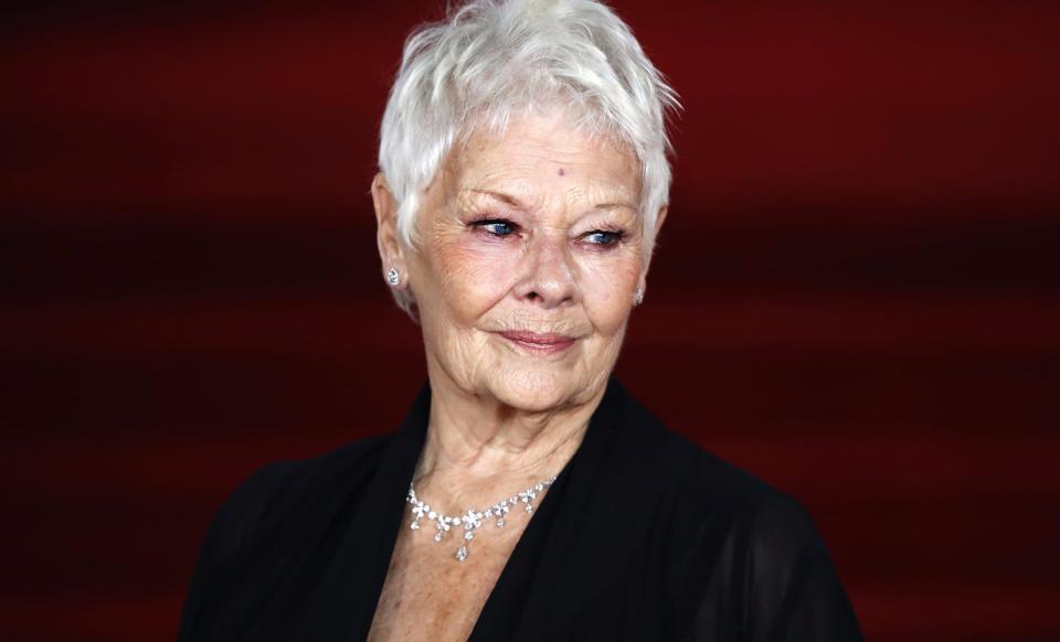 Judi Dench en 2017 - Tolga Akmen - AFP
