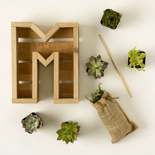 <p><a href="https://go.redirectingat.com?id=74968X1596630&url=https%3A%2F%2Fwww.uncommongoods.com%2Fproduct%2Fsucculent-letter-diy-kit&sref=https%3A%2F%2Fwww.countryliving.com%2Fshopping%2Fgifts%2Fg24166033%2Fwife-gift-ideas%2F" rel="nofollow noopener" target="_blank" data-ylk="slk:Shop Now;elm:context_link;itc:0;sec:content-canvas" class="link rapid-noclick-resp">Shop Now</a></p><p>Succulent Letter DIY Kit</p><p>uncommongoods.com</p><p>$97.00</p><span class="copyright">Uncommon Goods</span>