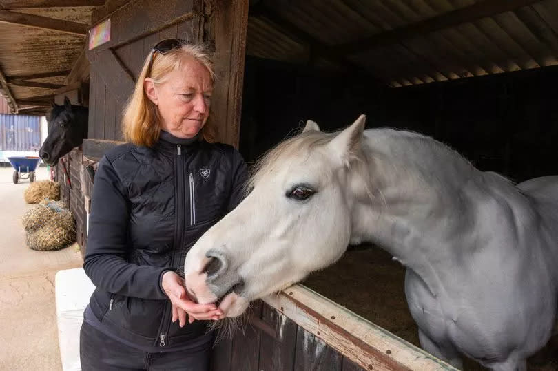 Wendy Ellis from Midgeland Riding School