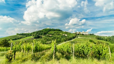 The Languedoc offers slightly less taxing terrain - Credit: GETTY