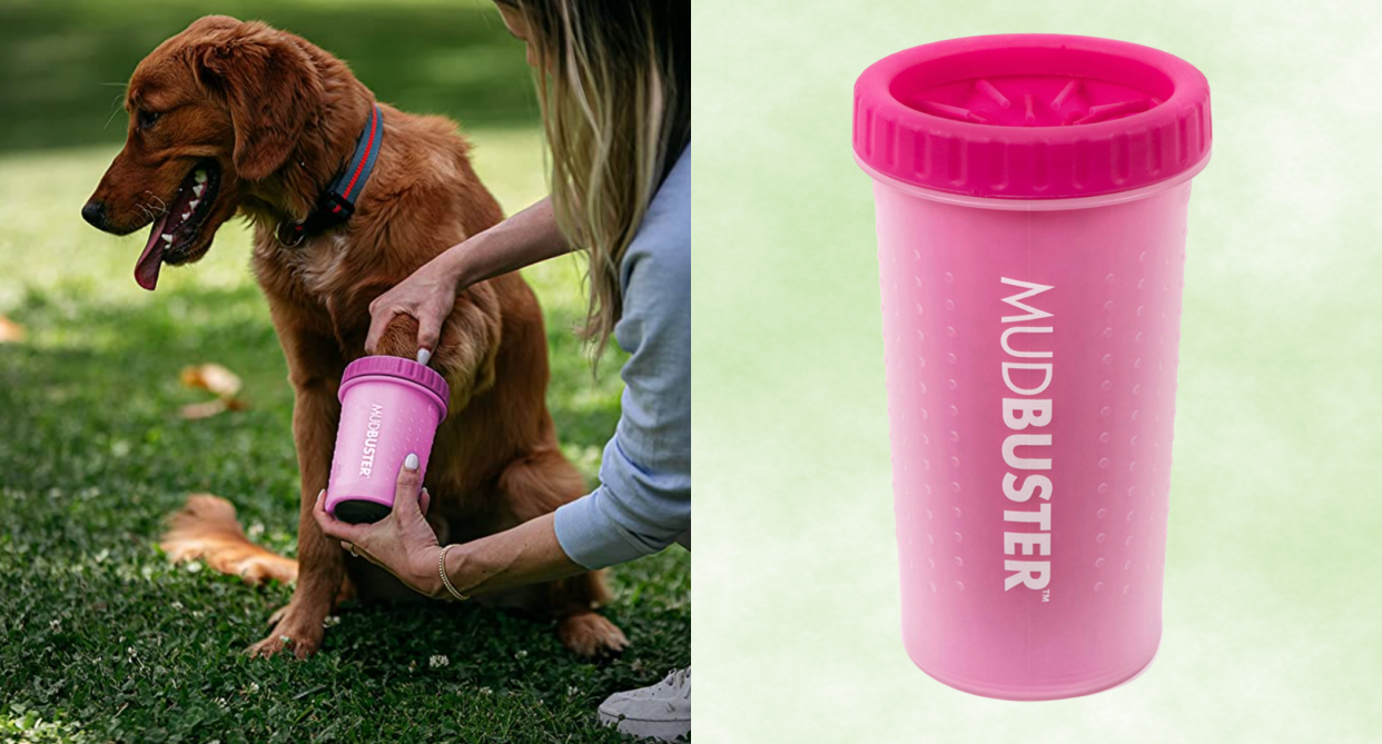 dog with paw in pink mudbuster cup outside on grass, dog