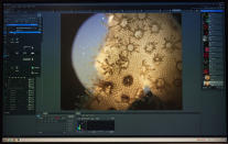 FILE- In this Sept. 28, 2015, file photo, living coral is shown under a microscope at the University of Hawaii's Institute of Marine Biology in Kaneohe, Hawaii. Flooding in March 2021 in Hawaii caused widespread and obvious damage. But extreme regional rain events that are predicted to become more common with global warming do not only wreak havoc on land, the runoff from these increasingly severe storms is also threatening Hawaii's coral reefs. (AP Photo/Caleb Jones, File)