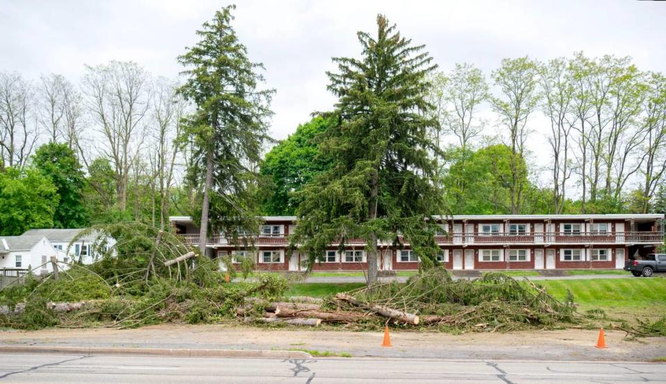 Trees were cut down on the former Autoport property along South Atherton Street on Friday, May 17, 2024.