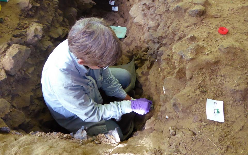 Becky Miller sampling sediment for genetic analyses at the archaeological site of Trou Al'Wesse, Belgium - Max Planck Institute for Evolutionary Anthropology