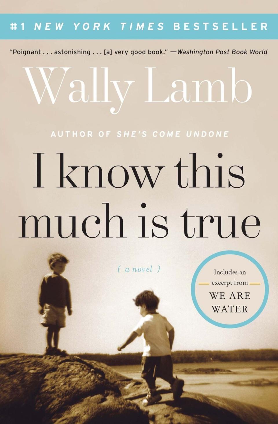 "I Know This Much Is True" by Wally Lamb