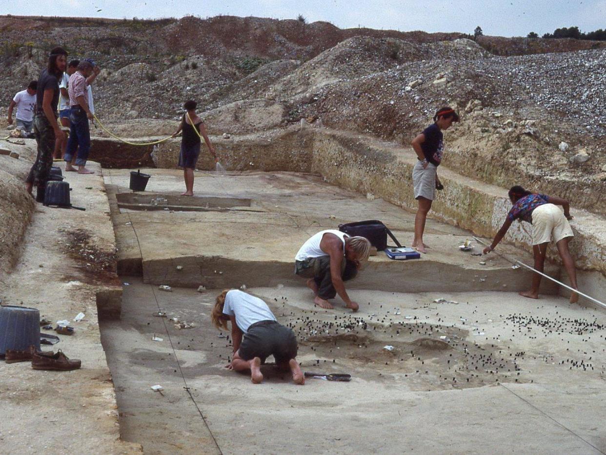 A photograph of the Horse Butchery Site, Boxgrove, under excavation in 1990: UCL Institute of Archaeology