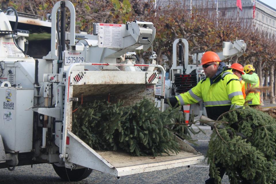 聖誕節過後，舊金山市府部門舉行回收聖誕樹儀式，使用垃圾車磨碎數棵聖誕樹。（記者楊逸辰╱攝影）