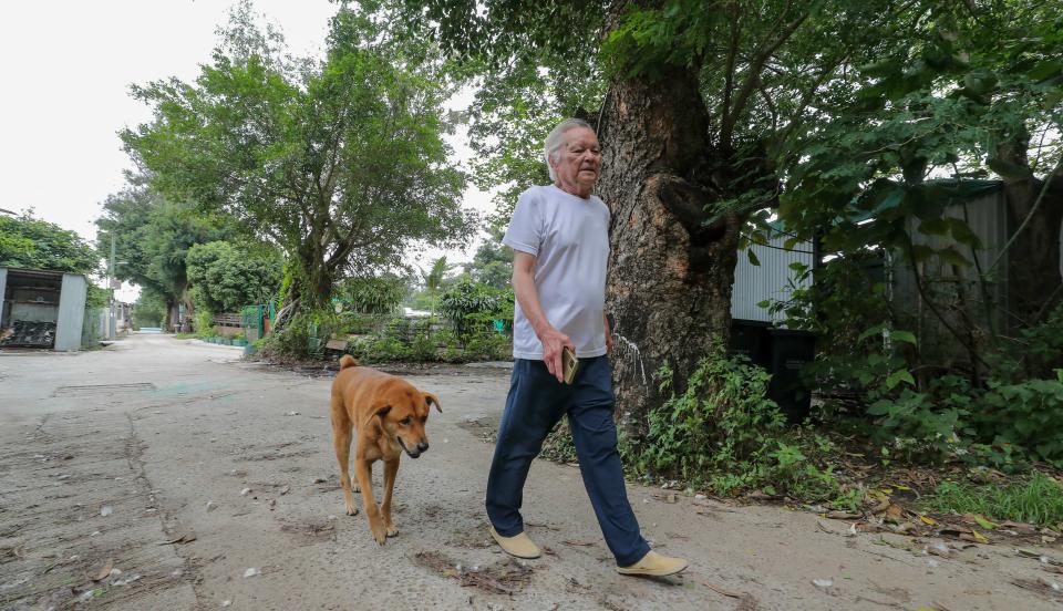 大耳仔會跟着賴伯伯周圍走。