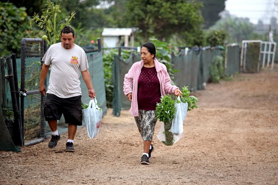 People carry produce from the Stanford Avalon Community Garden in Watts.