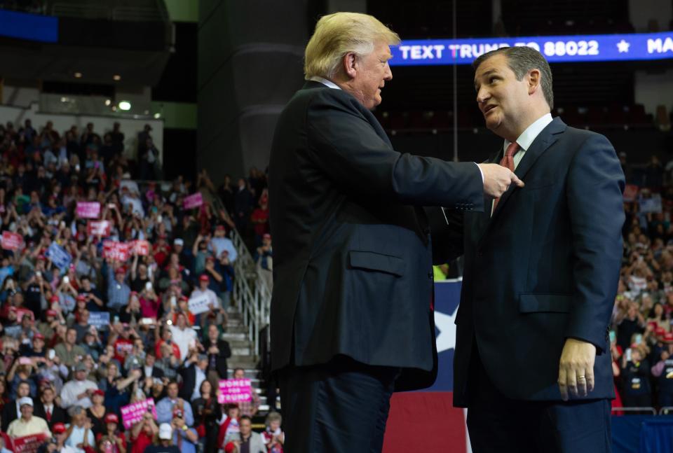 Donald Trump greets Ted Cruz (R), Republican of Texas, during a campaign rally at the Toyota Center in Houston, Texas, 22 October 2018 (AFP via Getty Images)