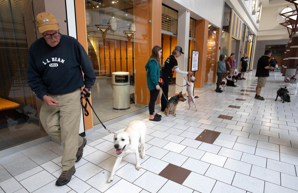 Dog owners participate in an obedience class during the Tri-State Pet Expo Sunday at the Beaver Valley Mall.