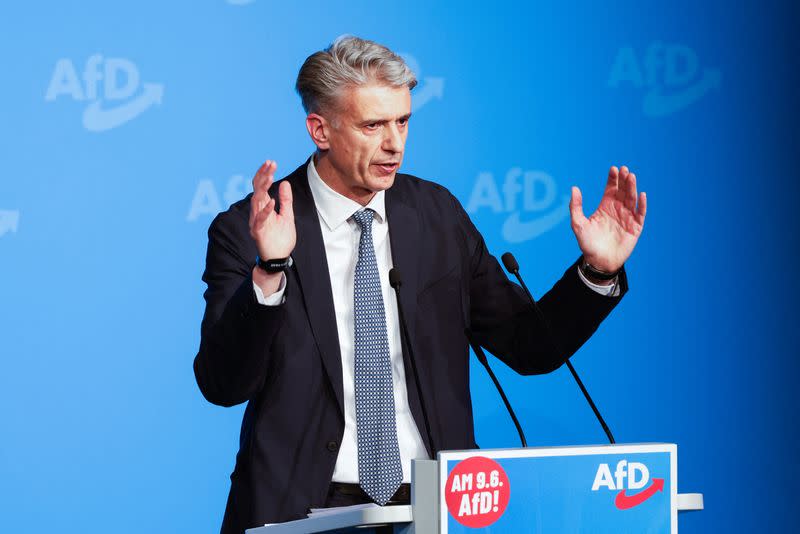 AfD party launches its campaign in Donaueschingen