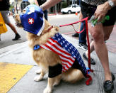 <p>Cosplayer dog as <i>Captain America</i> at Comic-Con International on July 20, 2018, in San Diego. (Photo: Mario Tama/Getty Images) </p>