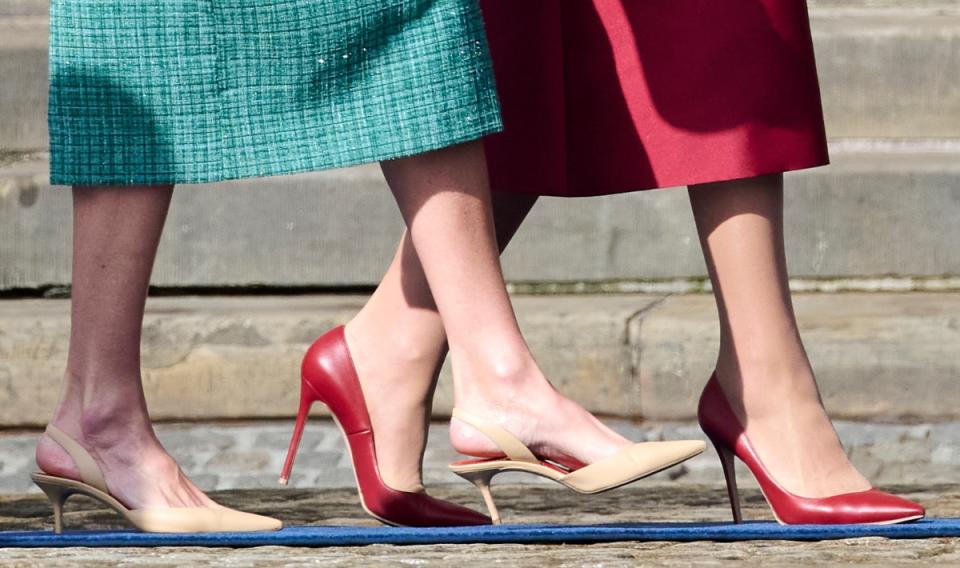 queen letizia of spain, queen maxima of the netherlands, pointed pumps, shoes, royals style