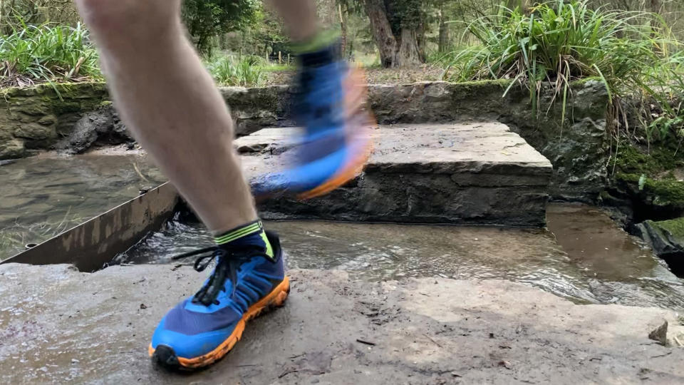 best trail running shoes: Trailfly G 270 V2s in the woods