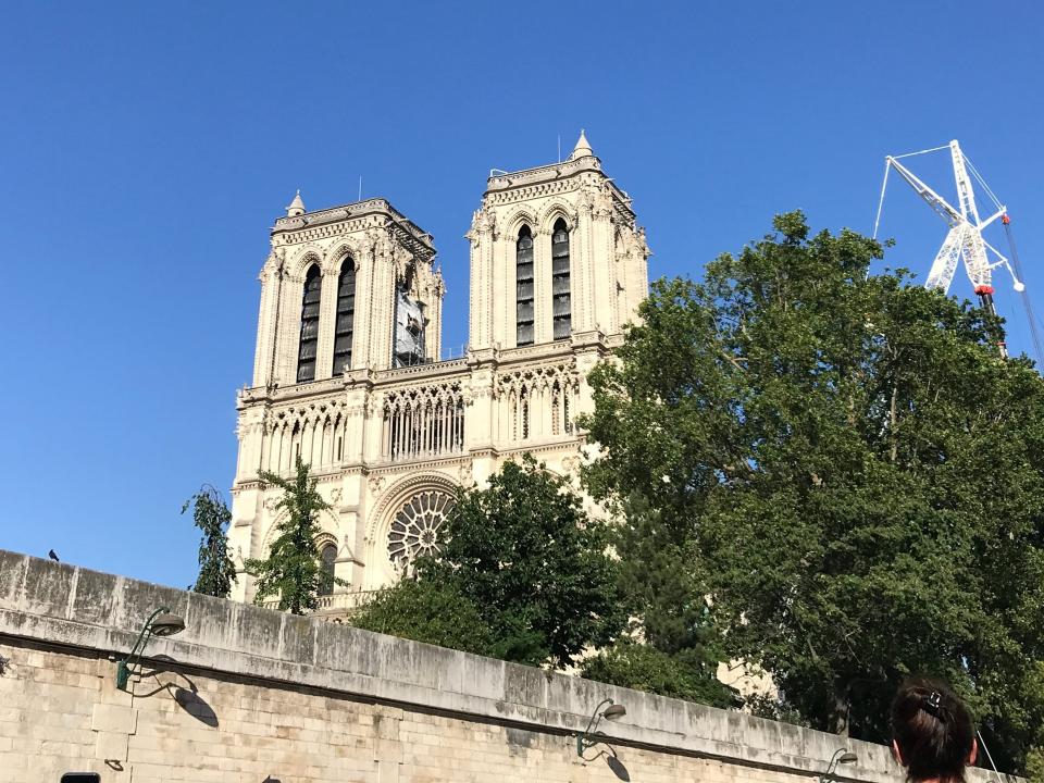 view of notre dame in paris from the seine