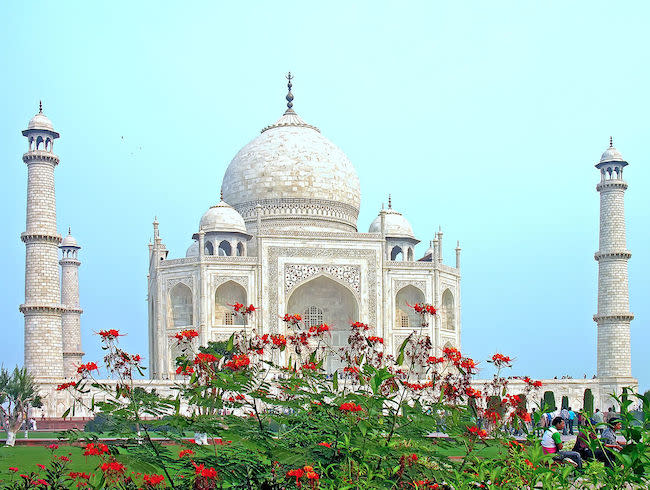 Red flowers in front of the Taj Mahal (Photo: Dennis Jarvis via Wikimedia Commons)