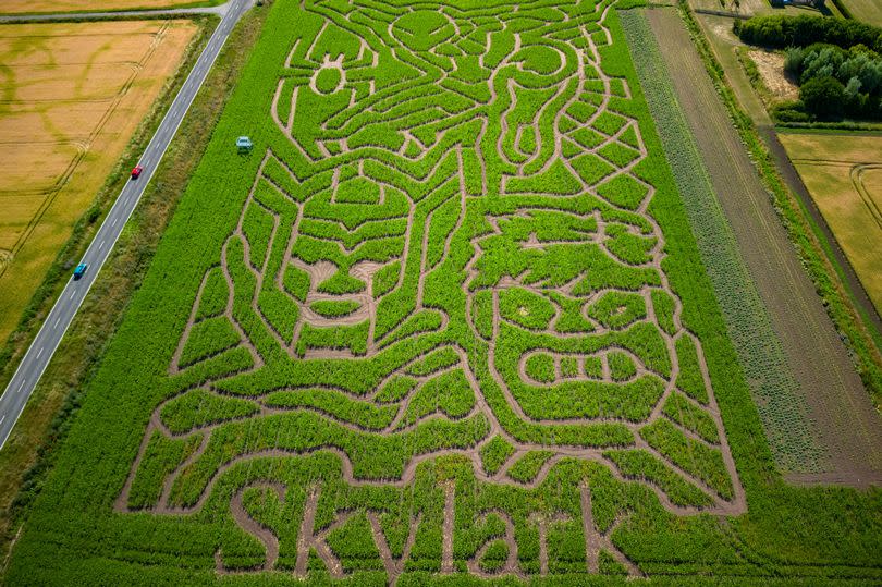 Marvel maze at Skylark garden centre in March