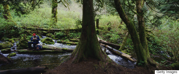 brook stream