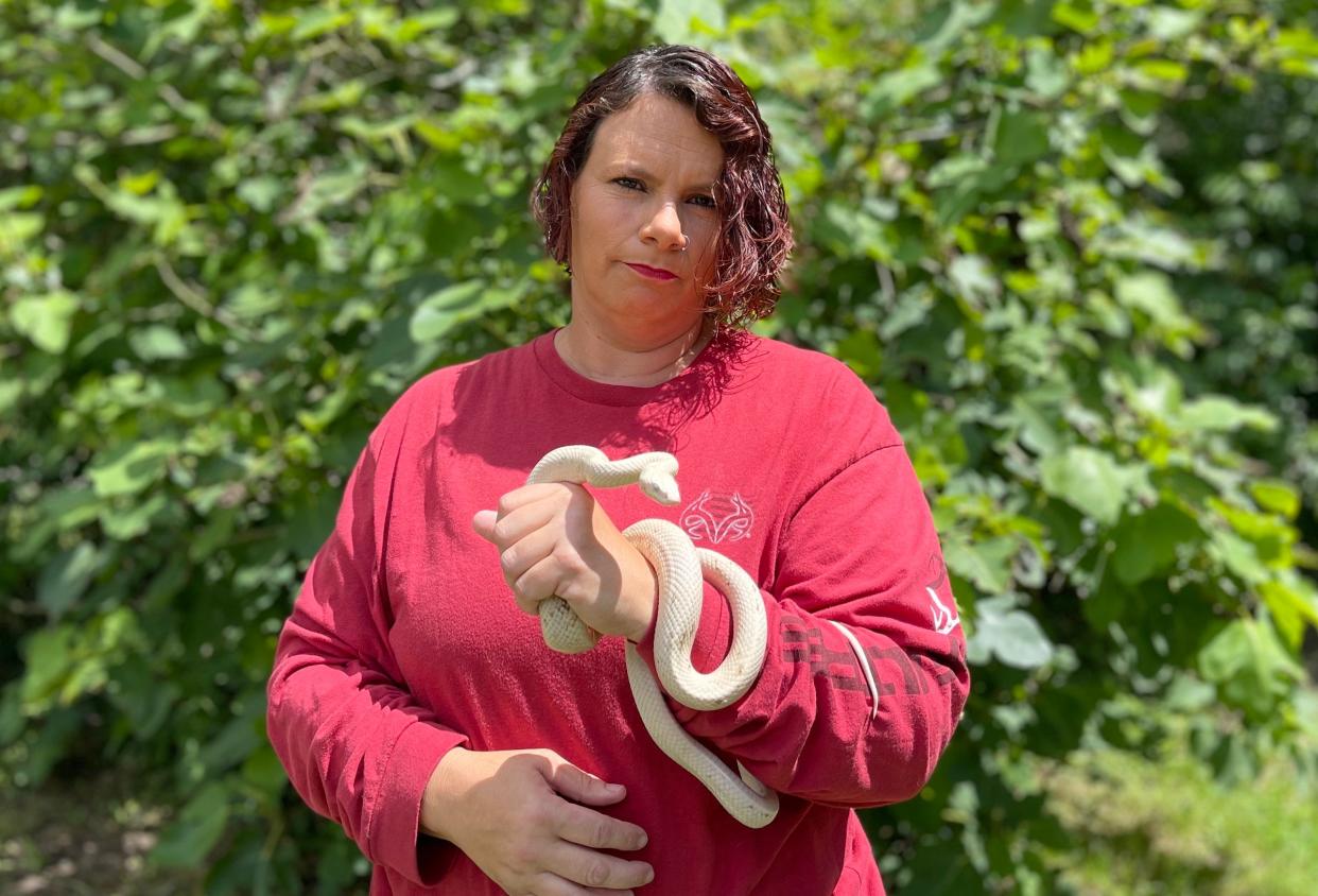 Wildlife rehabber Laura Mioton rescued this rare gray ratsnake in 2023. The 4-foot snake has a rare condition known as leucism that left it white with blue eyes.