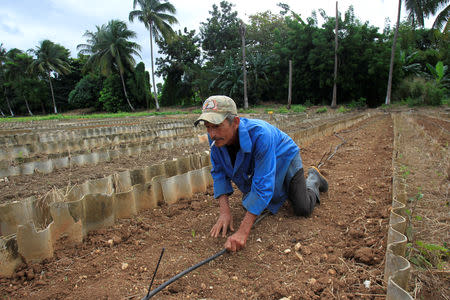 Farmer Victor Hernandez, 56, fixes the irrigation system in a field in Havana, Cuba, December 17, 2018. REUTERS/Stringer u000d