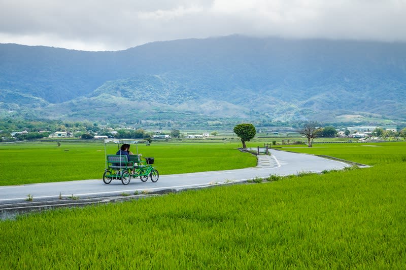 一邊騎著單車，一邊欣賞一望無際的稻田與連綿群山。