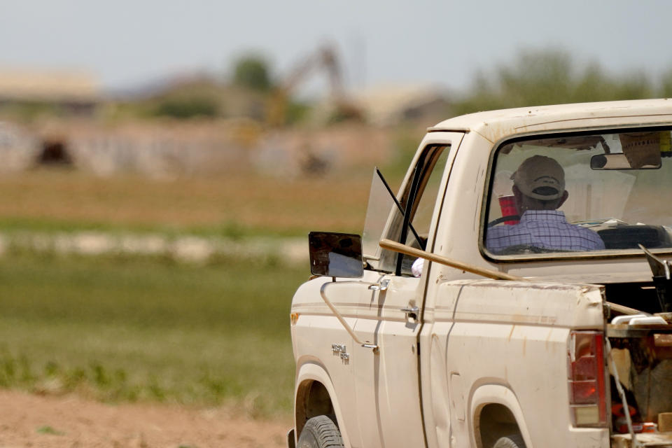 Kelly Anderson navigates dormant fields Thursday, Aug. 18, 2022, in Maricopa, Ariz. Anderson grows specialty crops for the flower industry and leases land to alfalfa farmers whose crops feed cattle at nearby dairy farms. He knows what's at stake as states dither over cuts and expects about half of the area will go unplanted next year, after farmers in the region lose all access to the river. (AP Photo/Matt York)