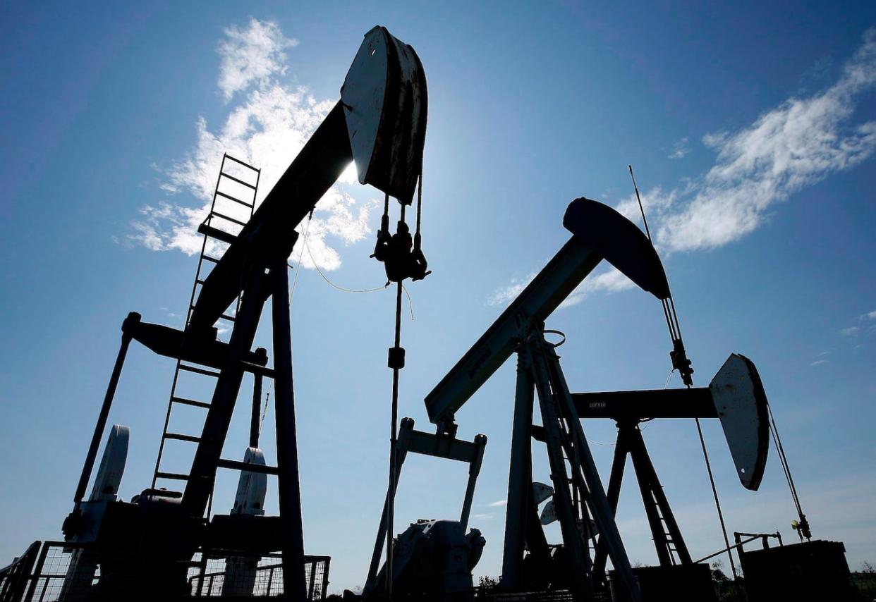 A photo of pumpjacks at work pumping crude oil near Halkirk, Alta., in 2007. Environmental groups are asking the City of Ottawa to ban fossil fuel ads. (Larry MacDougal/The Canadian Press - image credit)