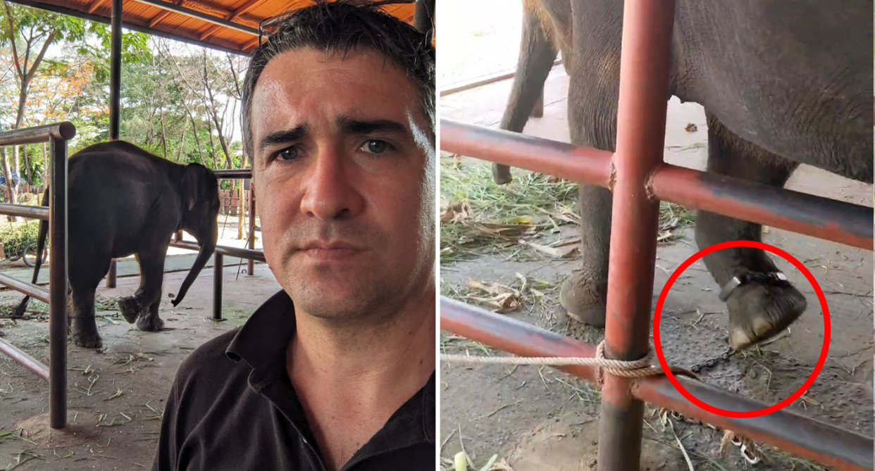 Left - Daniel Villota with the baby elephant in the background. Right - A red circle around the baby elephant's chained leg.