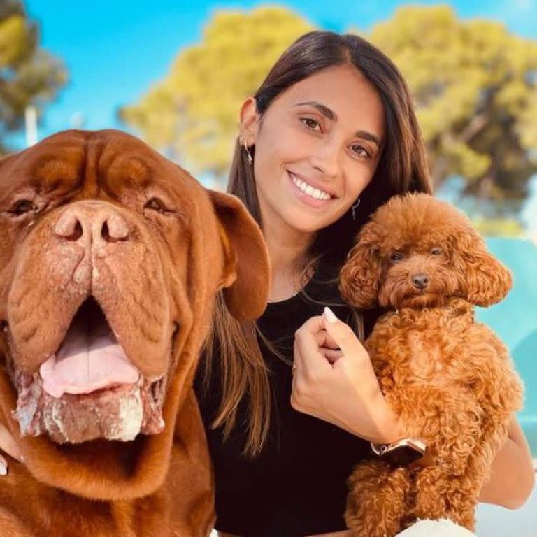 Antonela y su familia tienen dos mascotas, Hulk, que se quedó en Barcelona, y Abú que viajó con ellos a Miami