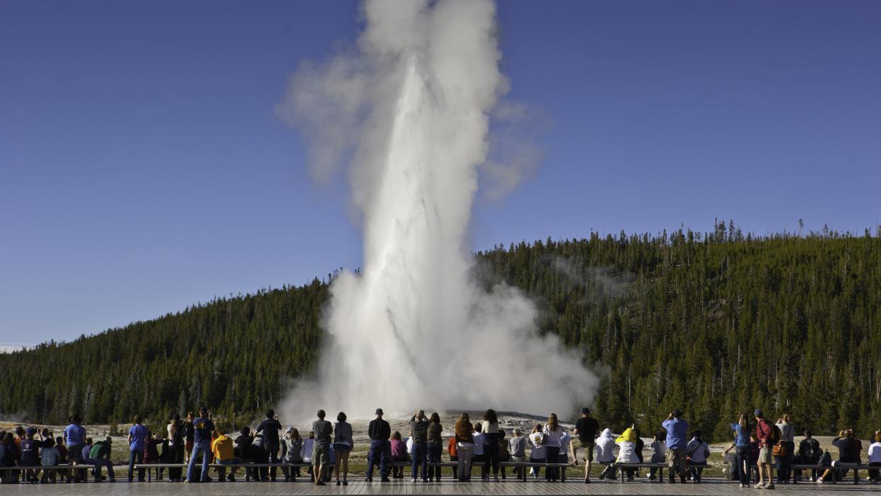  Visitors watching eruption of Old Faithful at Yellowstone National Park. 