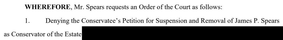 Jamie Spears's filing (Credit: Los Angeles Superior Court)