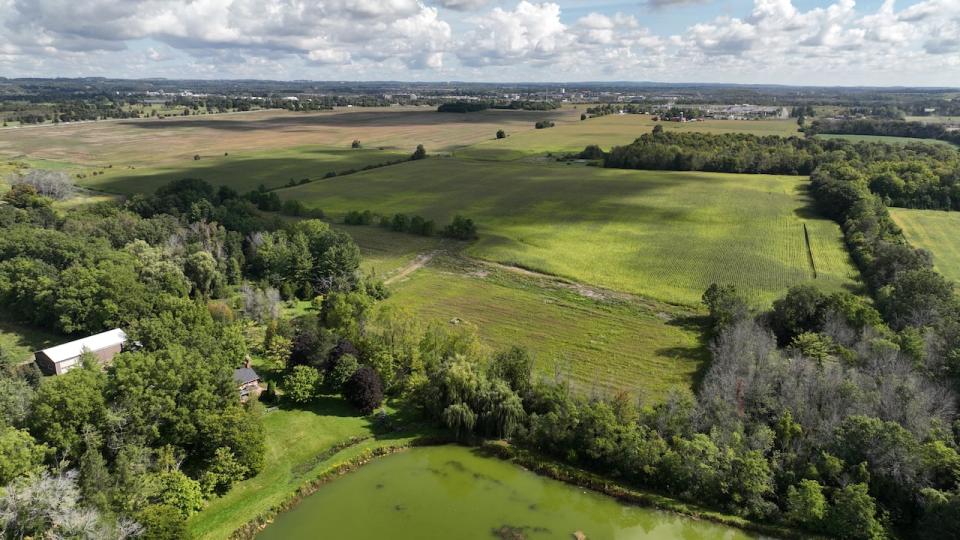 Five hectares of land east of McCowan Road in Whitchurch-Stouffville was removed from the Greenbelt land. The land is owned by Torca II Inc., and a numbered company. Berardino Quinto is a beneficial owner of both.