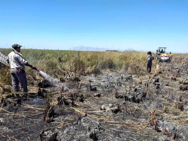 En Iberá aún recuerdan incendios del año pasado, que afectaron unas 840.000 hectáreas del parque nacional