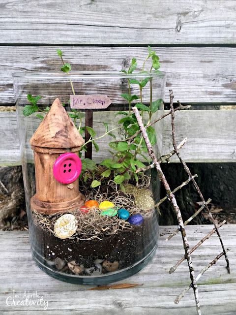 DIY Magical Leprechaun Terrarium