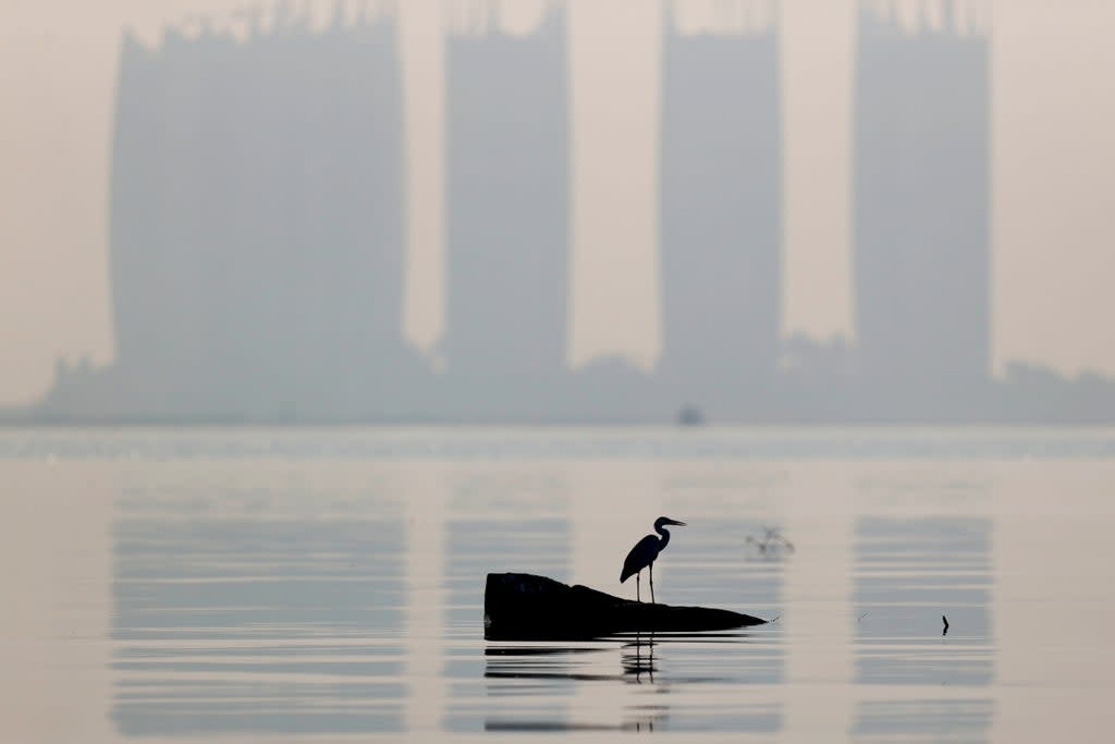 File: A heron bird perches as smog covers high-rise buildings on the northern coast of Jakarta, Indonesia (Reuters)